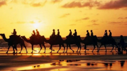 中國到科威特海運(yùn)需要注意事項(xiàng)