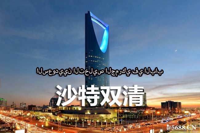 沙特雙清包稅到門服務(wù)